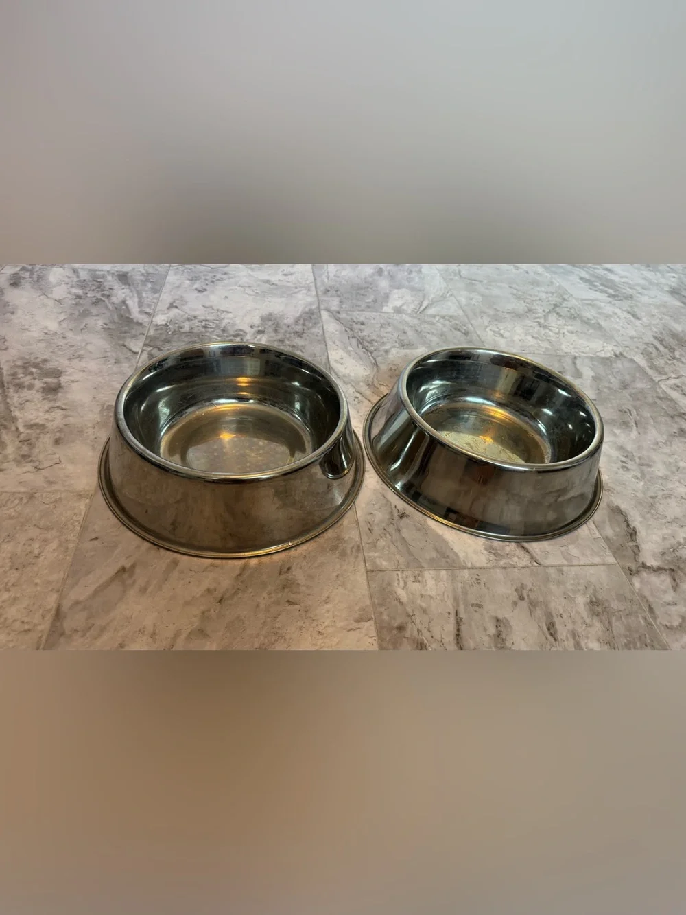 Big Dogs Stainless Steel Pet Bowls - Silver (Set of 2)
